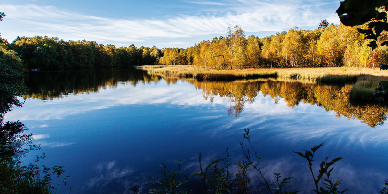 Ausflug Stausee Rotes Moor Wikipedia 800x400