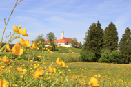 muenchen-wandern-hackensee-reutberger-kloster-000178