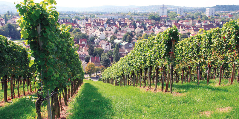 Szene_Weinkultur_Stuttgart_800x400_A_9870-1